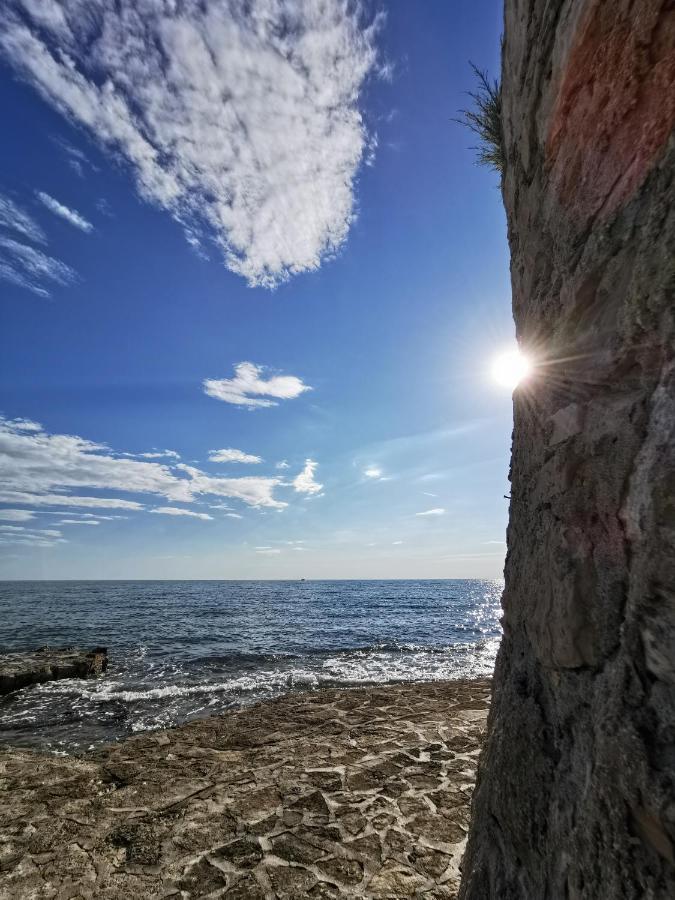 Aria Deluxe Superior 5 Star Apartment, Your Piece Of Heaven By The Sea & Park, With Sea & Park View Новиград Экстерьер фото